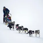 Smuksjoseter Fjellstue Otel Høvringen