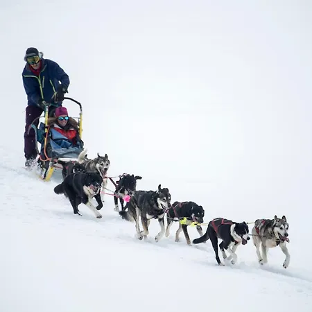 Smuksjoseter Fjellstue Hotell Høvringen