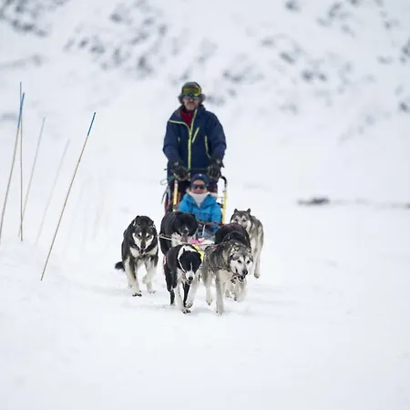 Smuksjoseter Fjellstue, Rondane Mountainlodge فندق