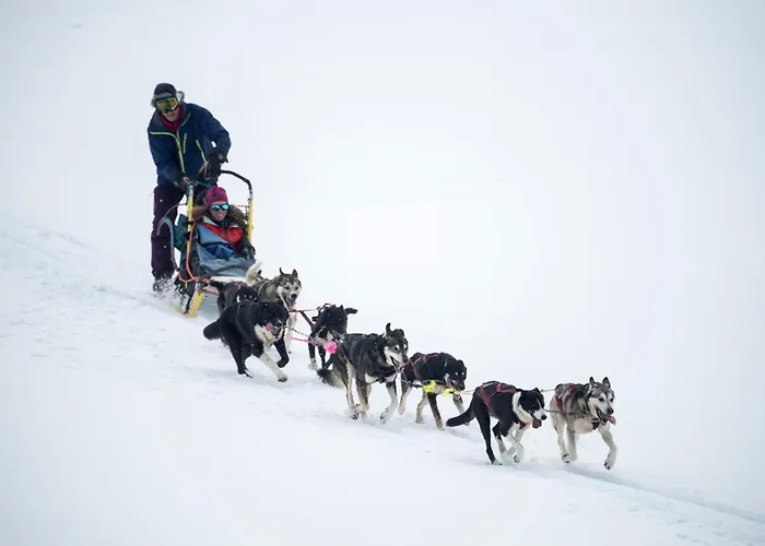 Smuksjoseter Fjellstue Hotel Høvringen