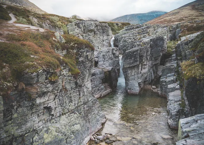Smuksjoseter Fjellstue فندق Høvringen